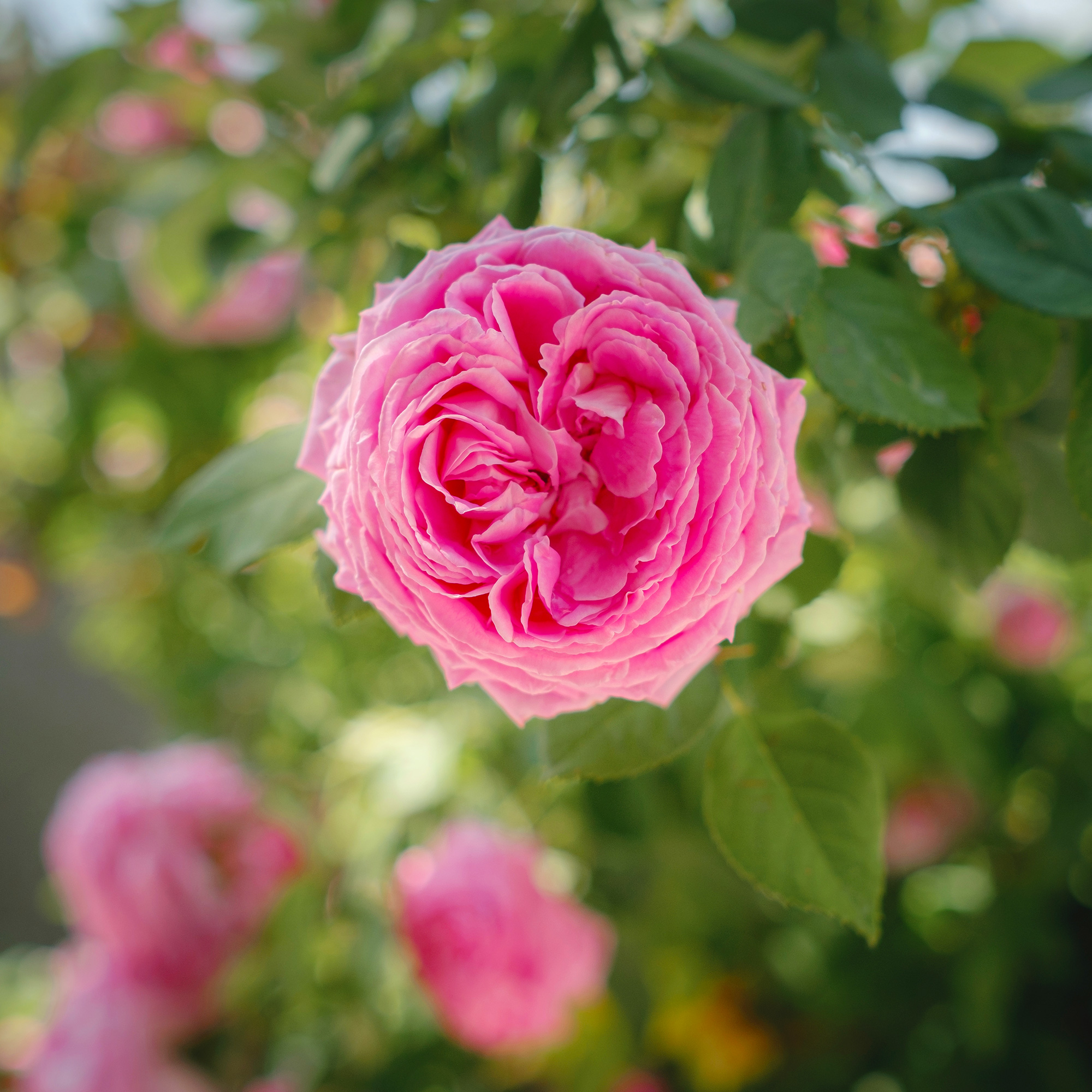 こんなお悩みありませんか？!